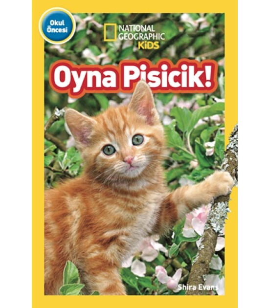 National Geographic Kids Oyna Pisicik!