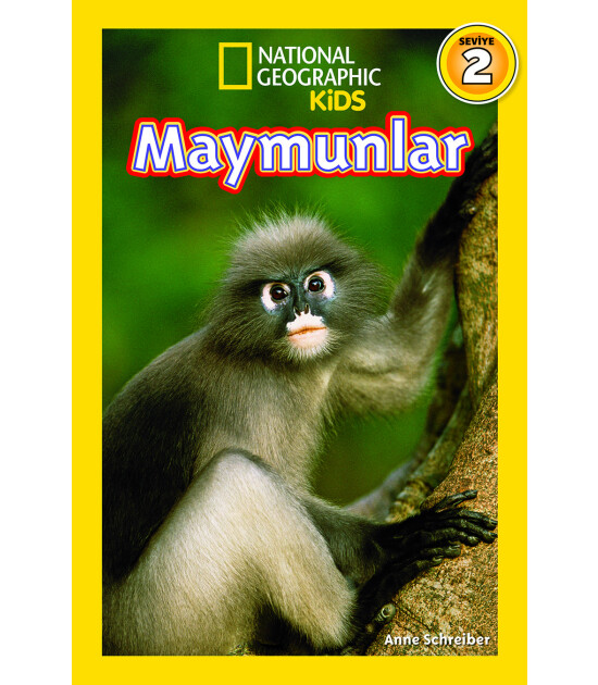 Maymunlar