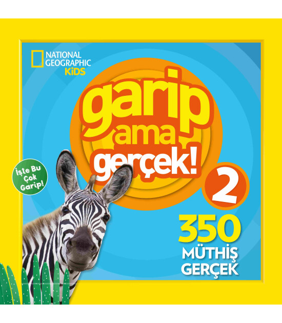 Beta Kids Garip Ama Gerçek 2