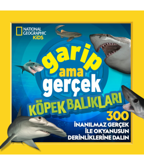 Beta Kids Garip Ama Gerçek! Köpek Balıkları (300 Harika Gerçek)