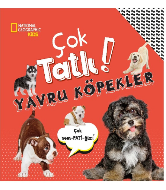 Beta Kids Çok tatlı yavru köpekler