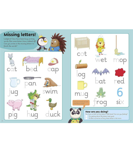 Ladybird Letters: A Learn with Wipe-Clean Activity Book