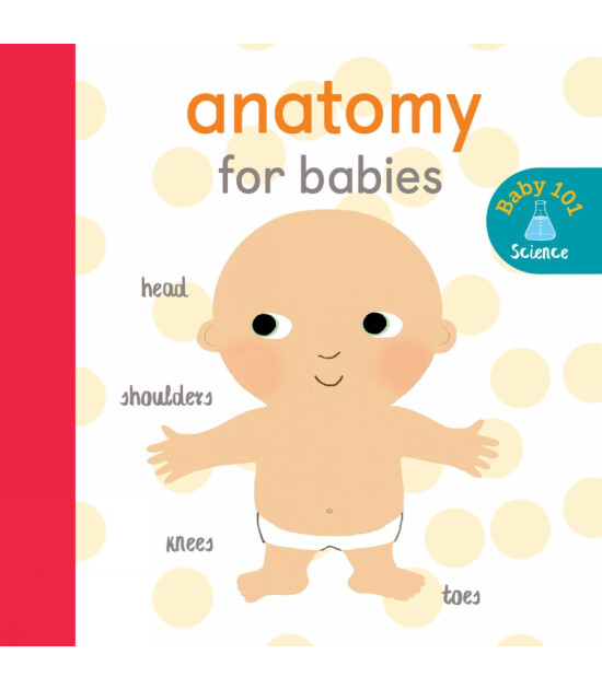 Little Tiger Press Baby 101: Anatomy for Babies