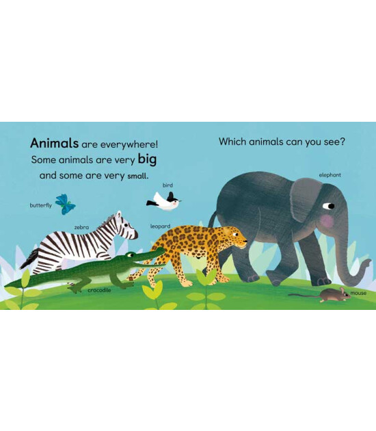 Little Tiger Press Baby 101: Zoology for Babies