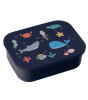 Lund London Lunch Box Beslenme Kutusu // Ocean