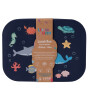 Lund London Lunch Box Beslenme Kutusu // Ocean