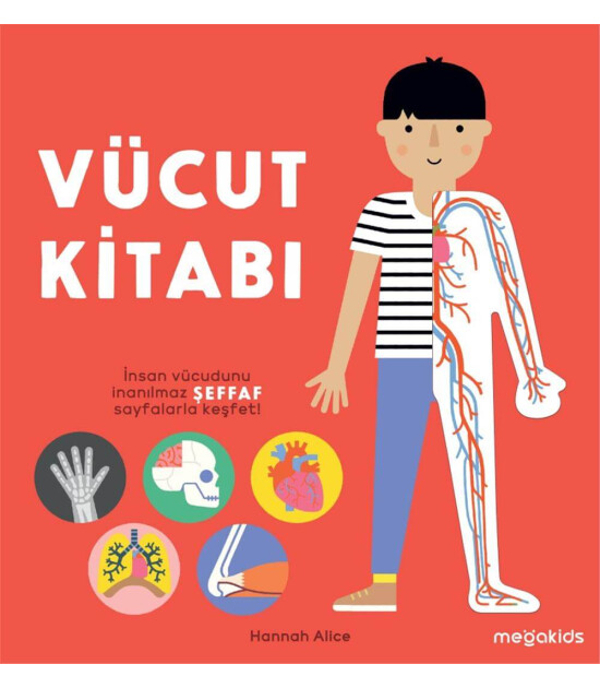 Megakids Yayıncılık Vücut Kitabı