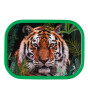 Mepal Campus Lunch Box // Wild Tiger