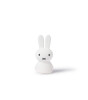 Mr. Maria Miffy Shines Table Light