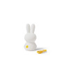 Mr. Maria Miffy Shines Table Light