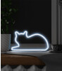 Mustard Cat Led Işık