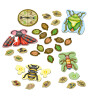 Orchard Toys Bug Hunters