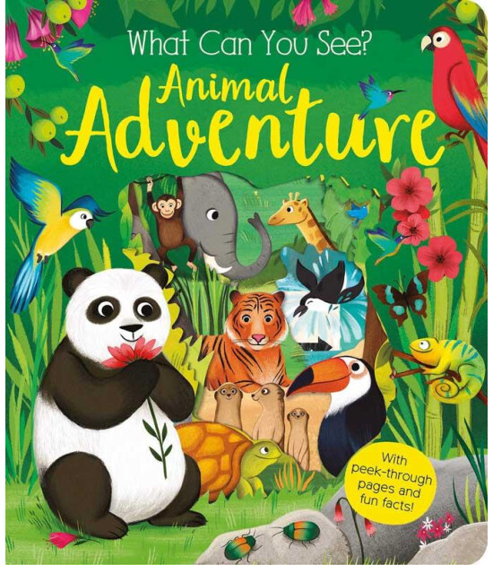 Pan Macmillan What Can You See?: Animal Adventure