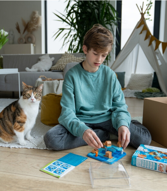 Smart Games Cats & Boxes