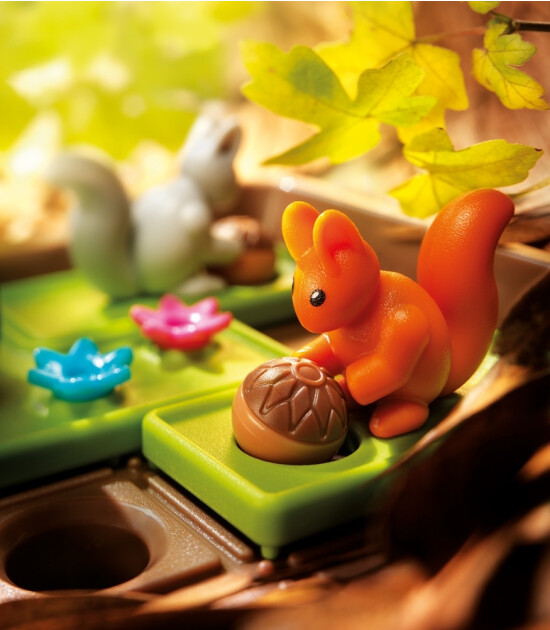 Smart Games Squirrels Go Nuts