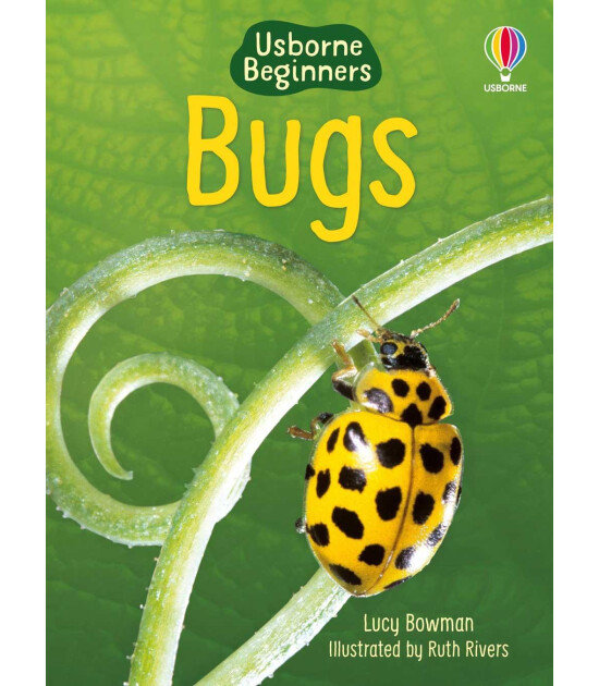 Usborne Bugs