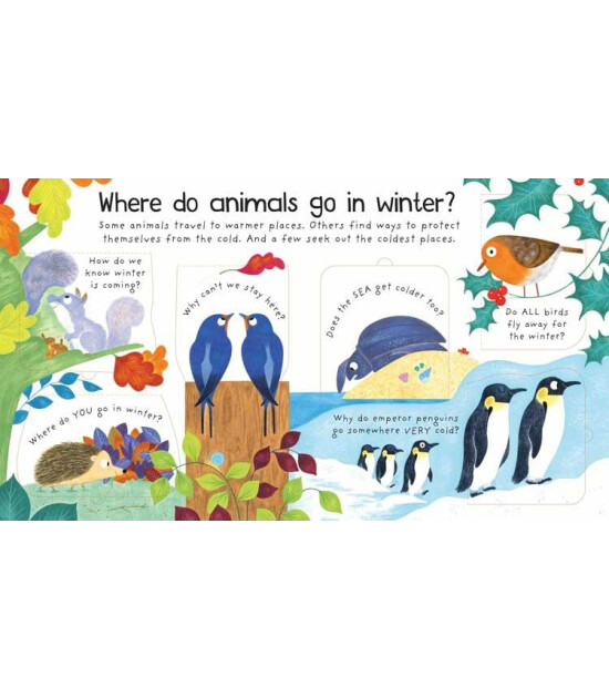 Usborne Publishing First Questions and Answers: Where Do Animals Go In Winter?