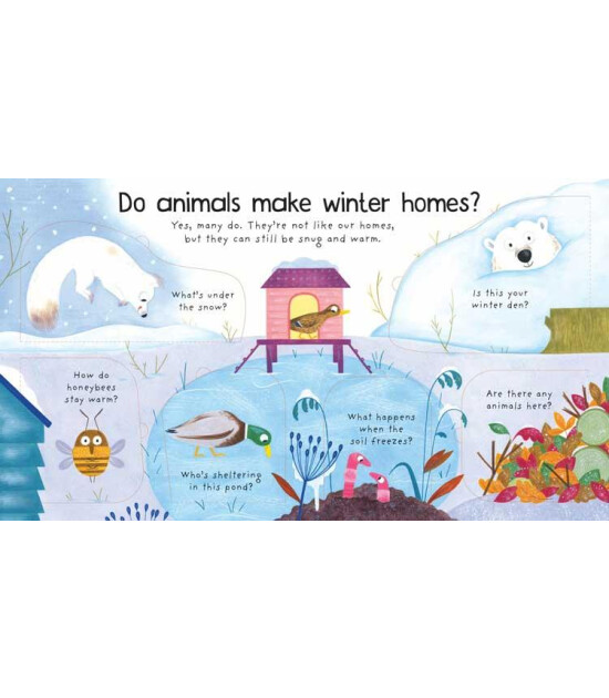 Usborne Publishing First Questions and Answers: Where Do Animals Go In Winter?