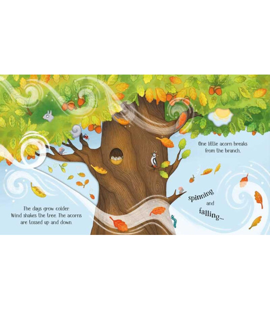 Usborne Publishing Life Cycles: One Little Tree