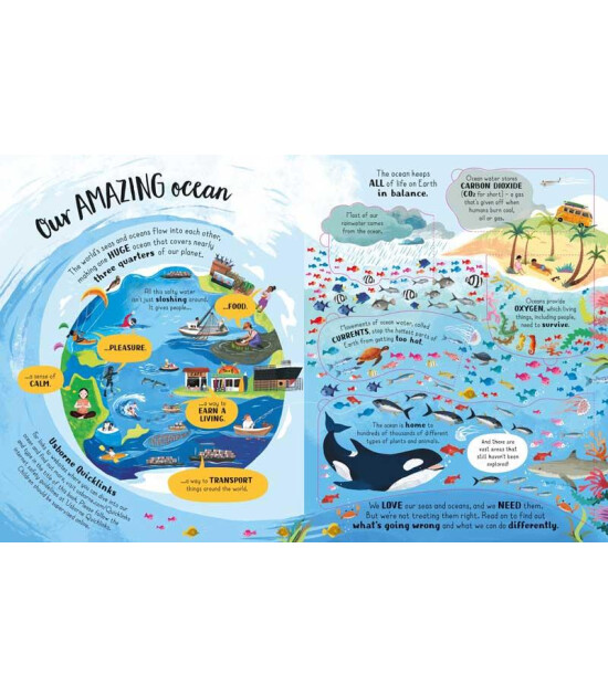 Usborne Publishing Lift-the-Flap: Looking After Our Ocean