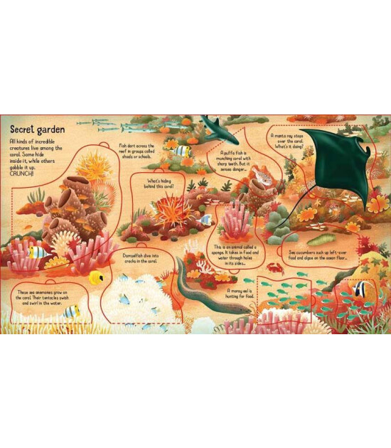 Usborne Publishing Look inside: a Coral Reef