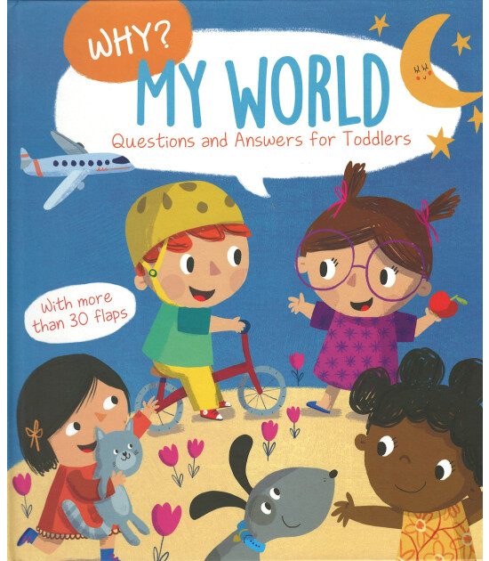 Yoyo Books Why? Questions and Answers for Toddlers: My World